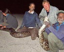 Record 17 foot long python captured in Florida